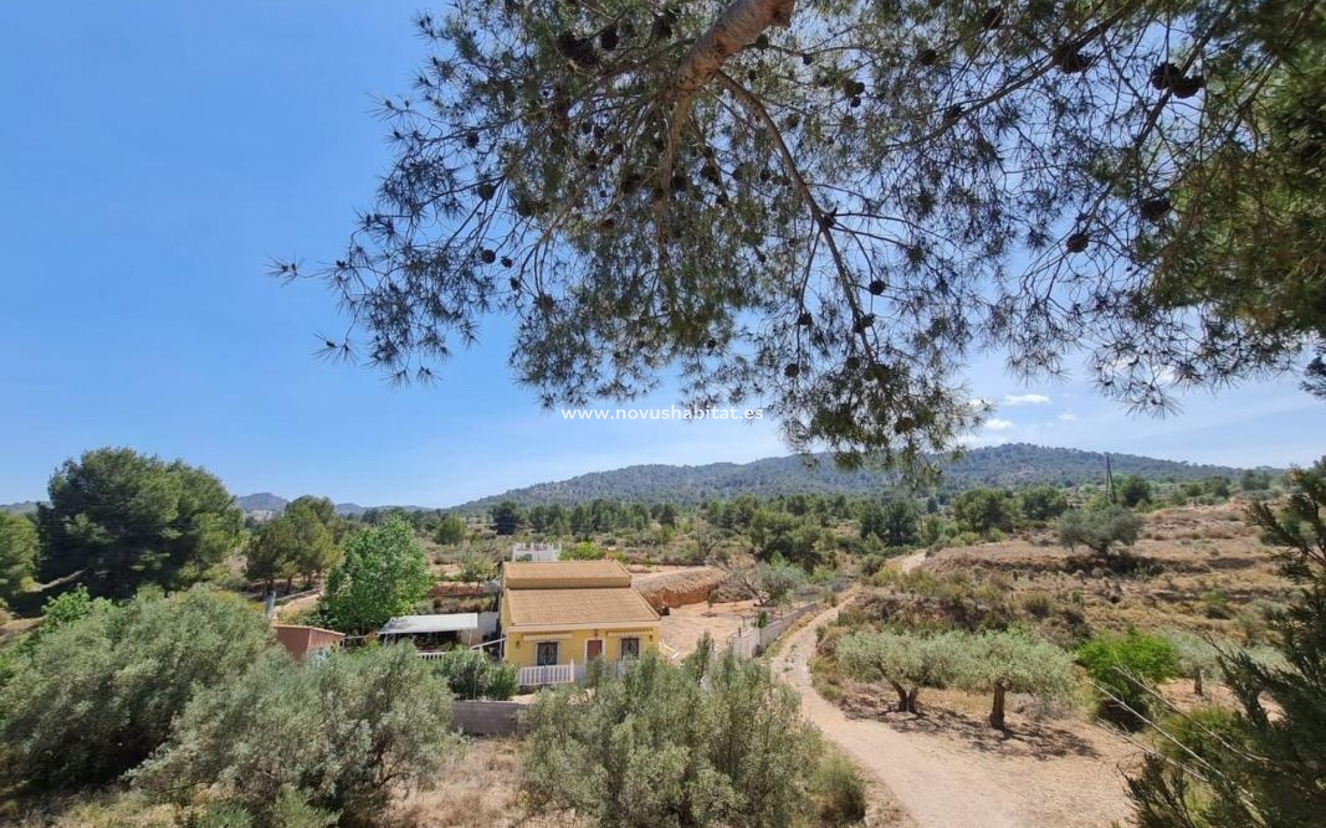Nowa inwestycja - Houses - Monóvar