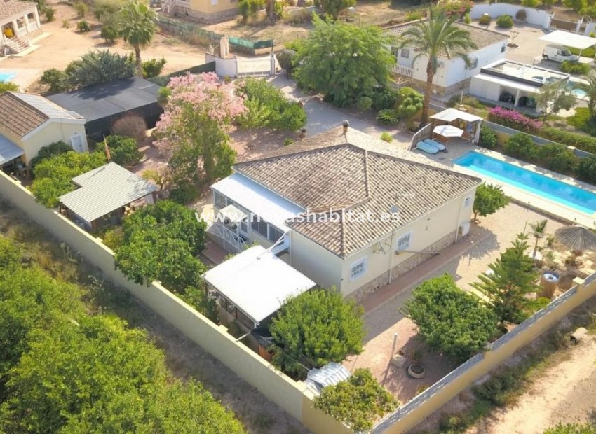 Nowa inwestycja - Houses - Orihuela