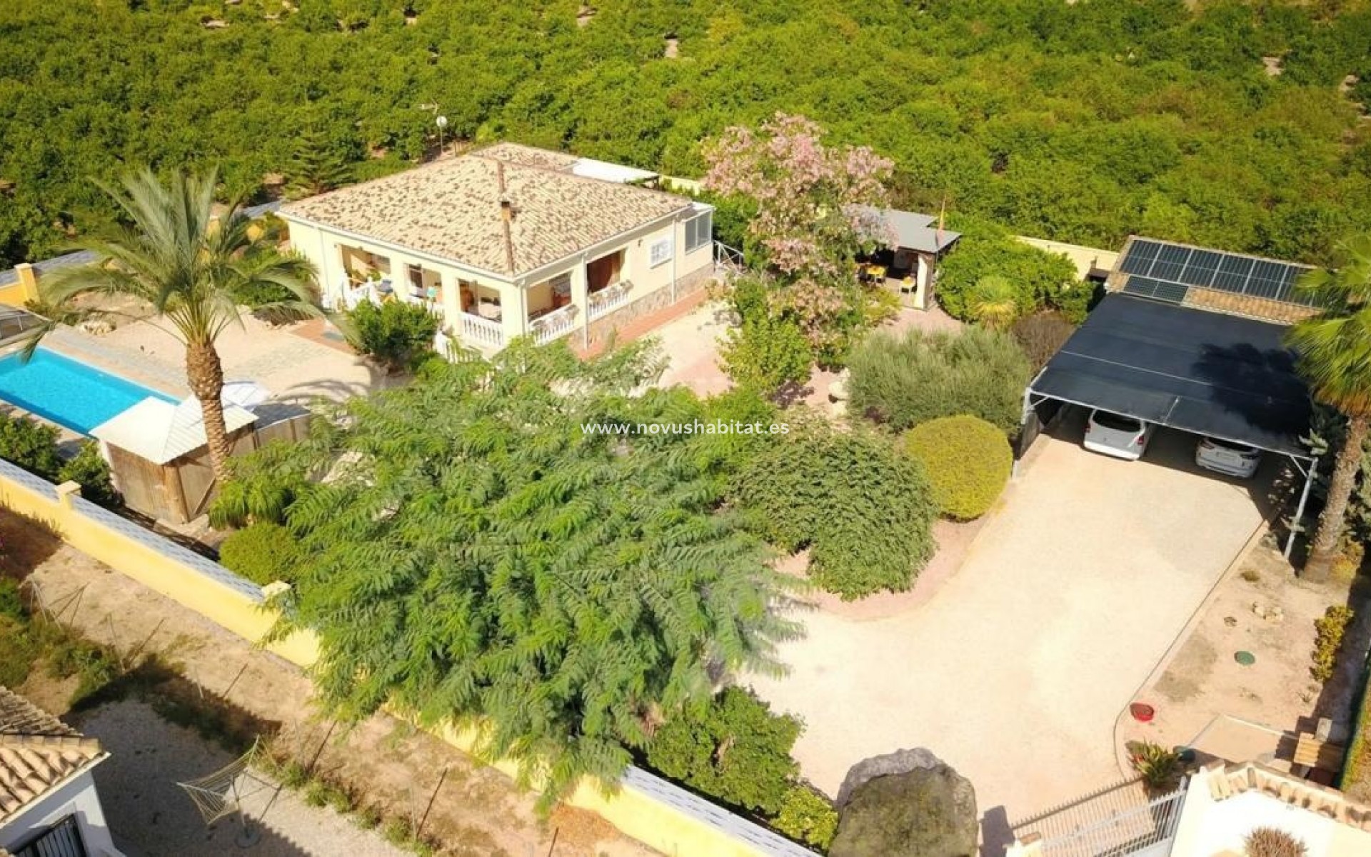 Nowa inwestycja - Houses - Orihuela