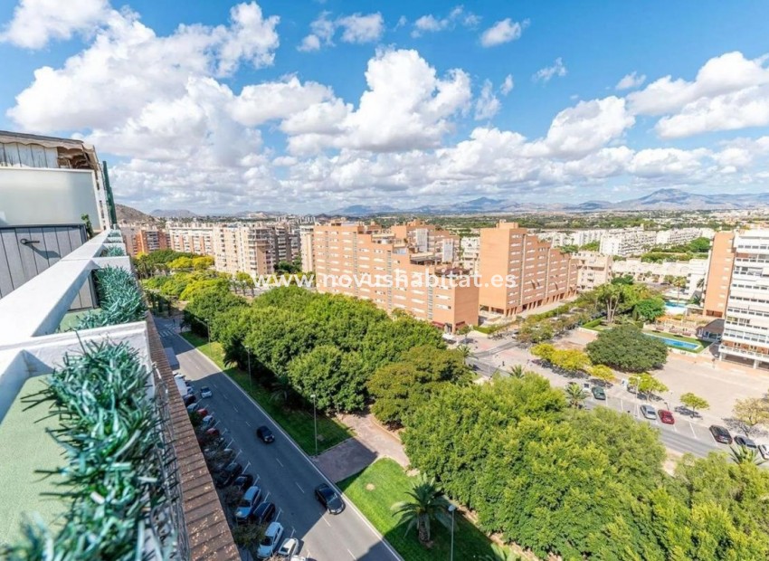 Nowa inwestycja - Penthouses - Alicante