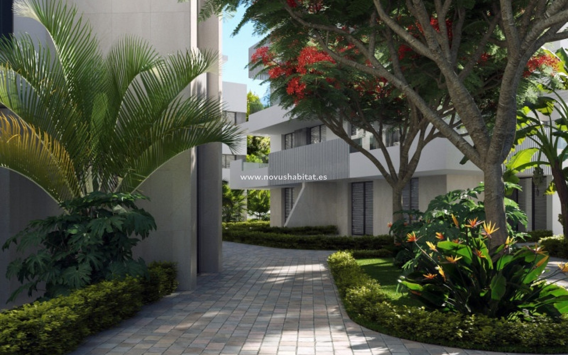 Nowa inwestycja - Penthouses - Torre Pacheco - Torre-Pacheco