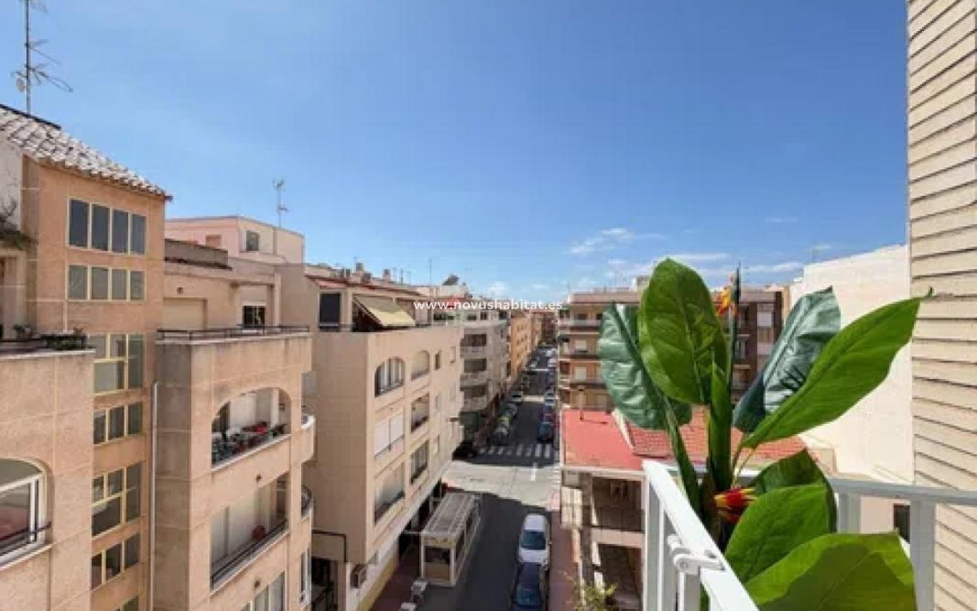 Nowa inwestycja - Penthouses - Torrevieja