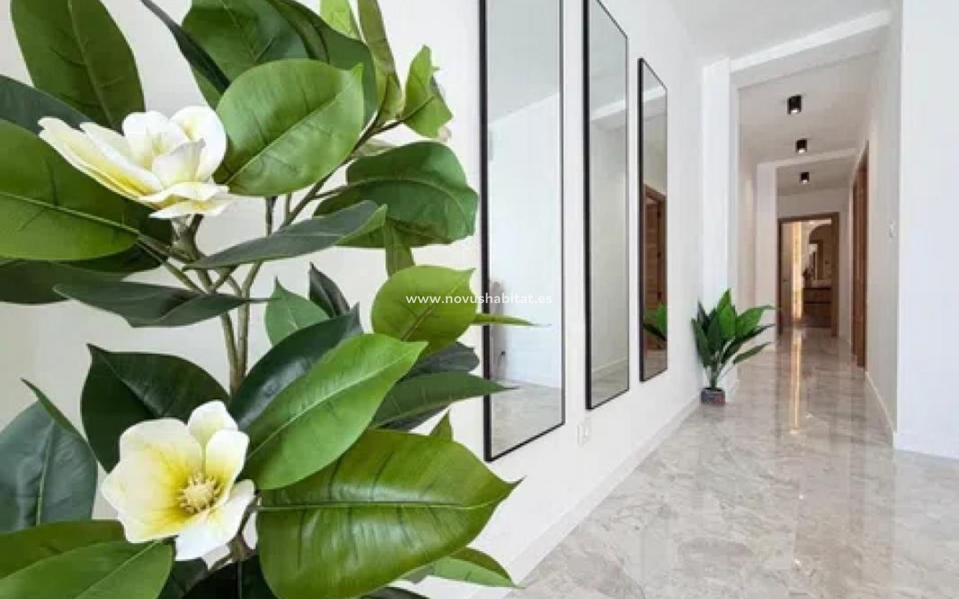 Nowa inwestycja - Penthouses - Torrevieja