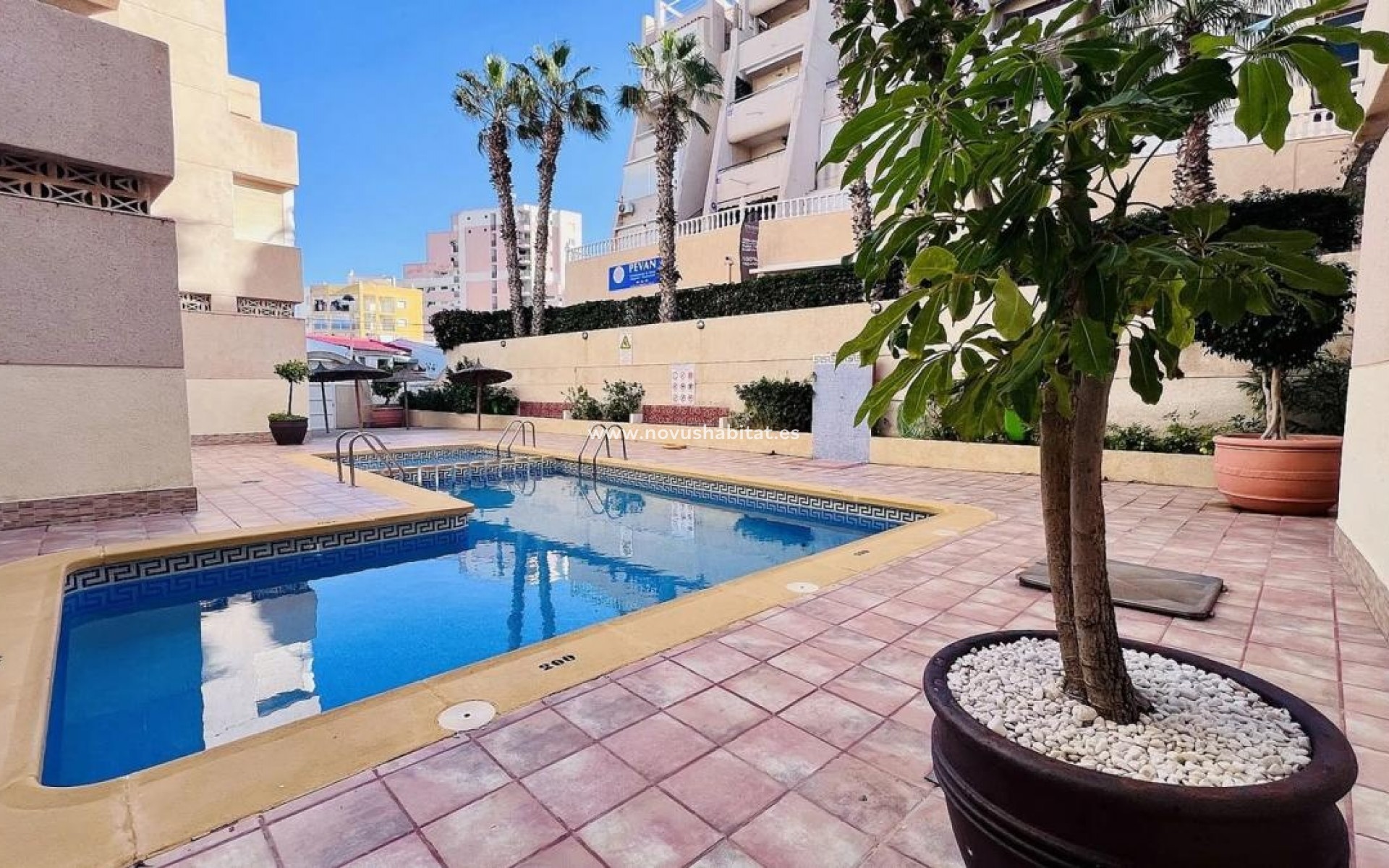 Nowa inwestycja - Penthouses - Torrevieja