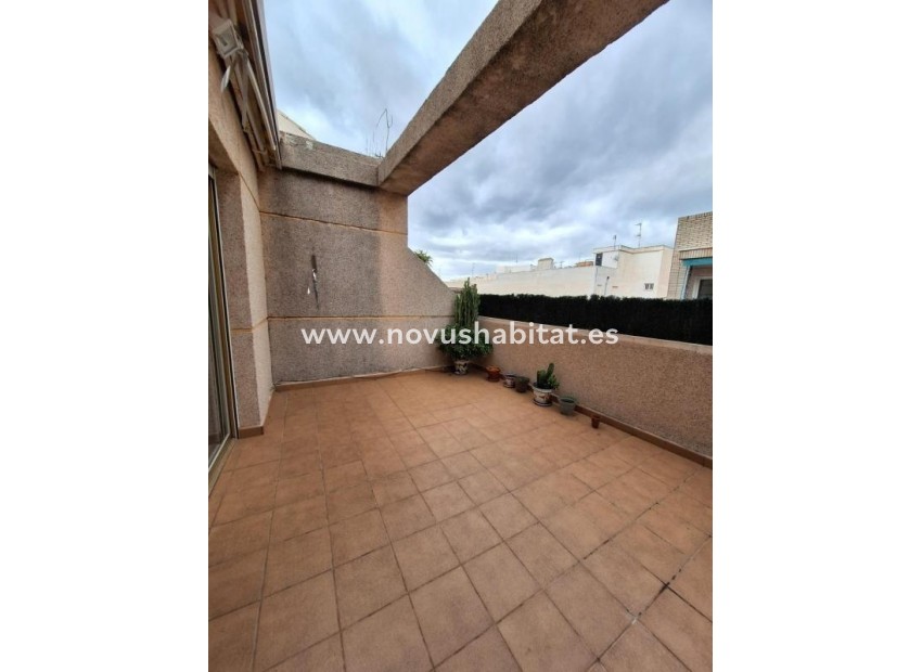Nowa inwestycja - Penthouses - Torrevieja