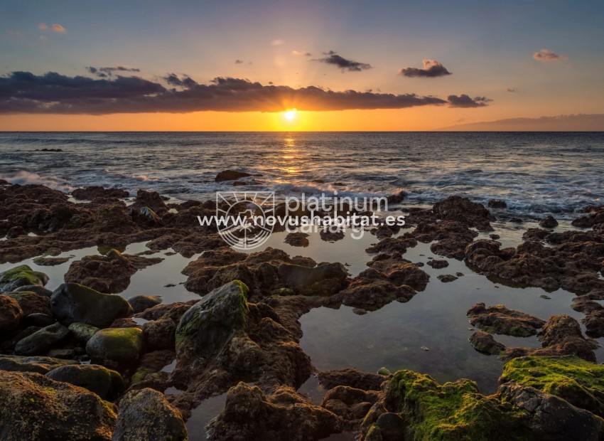 Nowa inwestycja - Plot - Palm Mar - Santa Cruz Tenerife