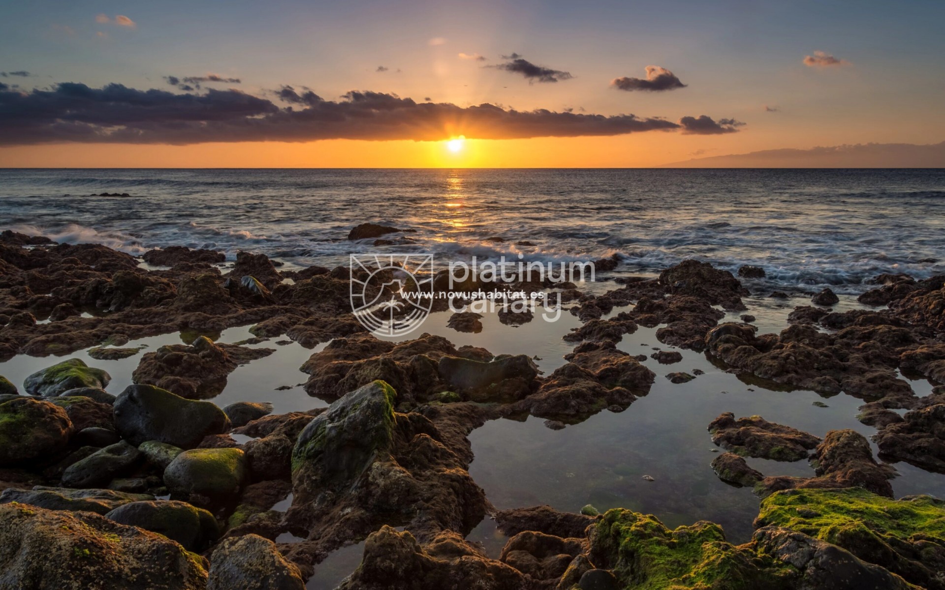 Nowa inwestycja - Plot - Palm Mar - Santa Cruz Tenerife