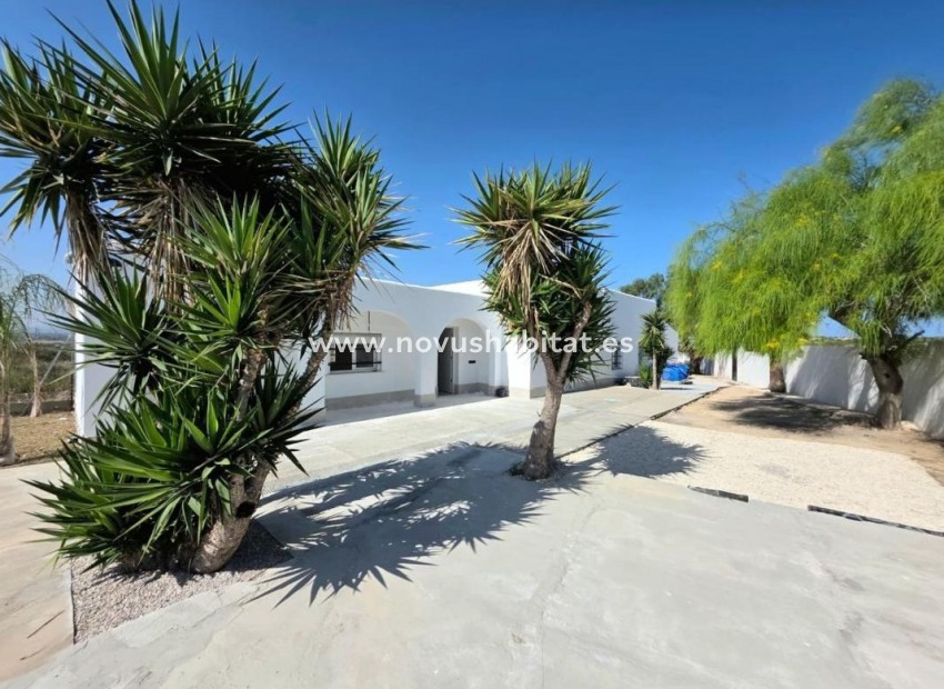 Nowa inwestycja - Rustic estate - Elche / Elx