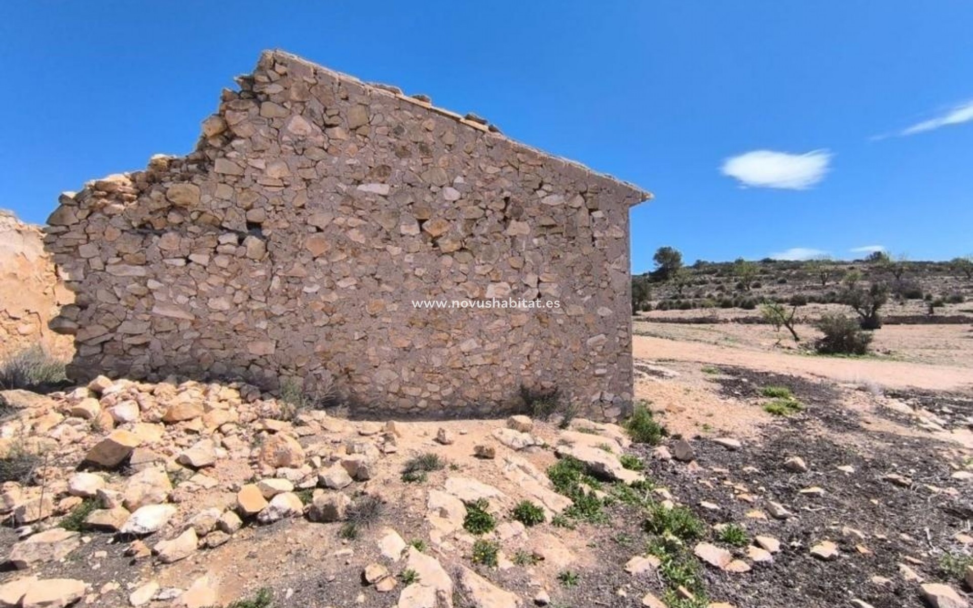 Nowa inwestycja - Rustic estate - Pinoso