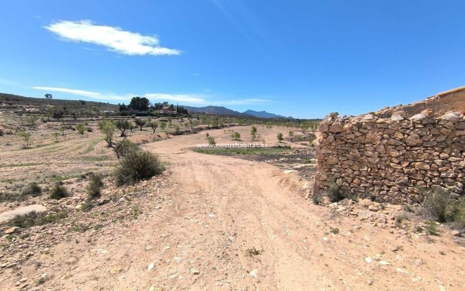 Nowa inwestycja - Rustic estate - Pinoso