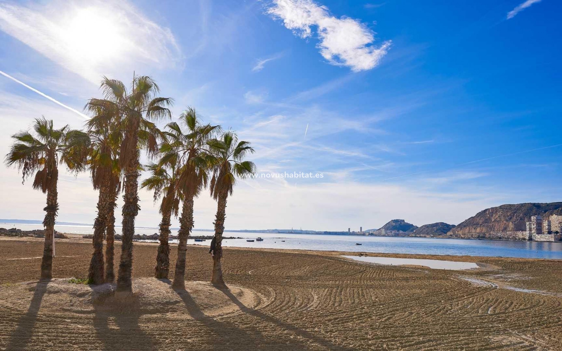 Nowa inwestycja - Semidetached - Els Poblets