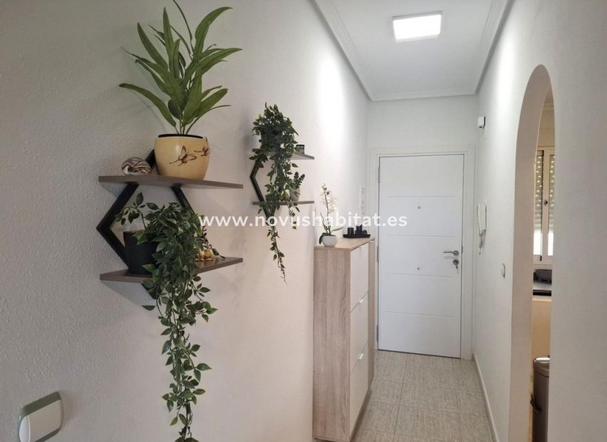 Nueva construcción  - Apartament - Almoradí