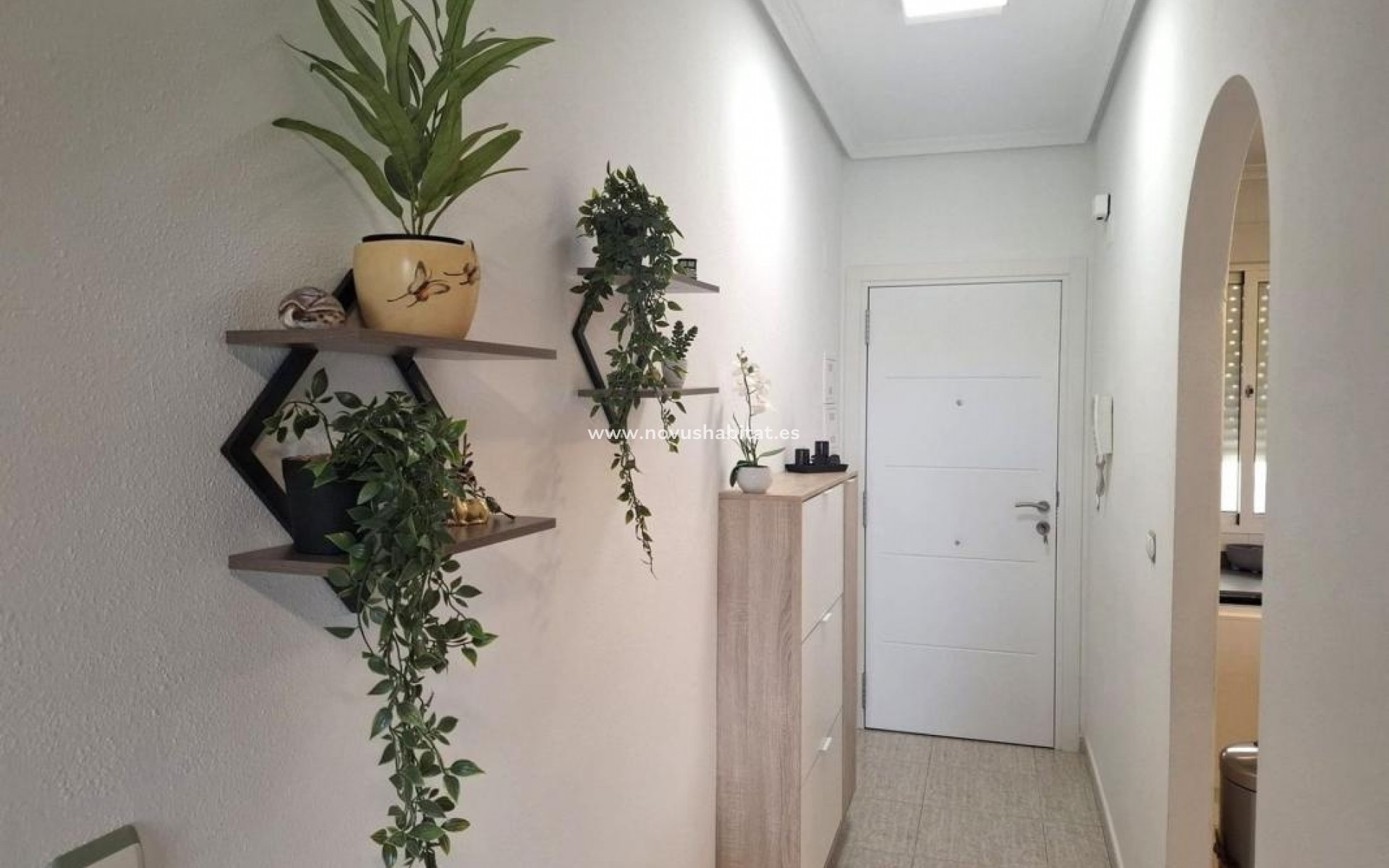 Nueva construcción  - Apartament - Almoradí