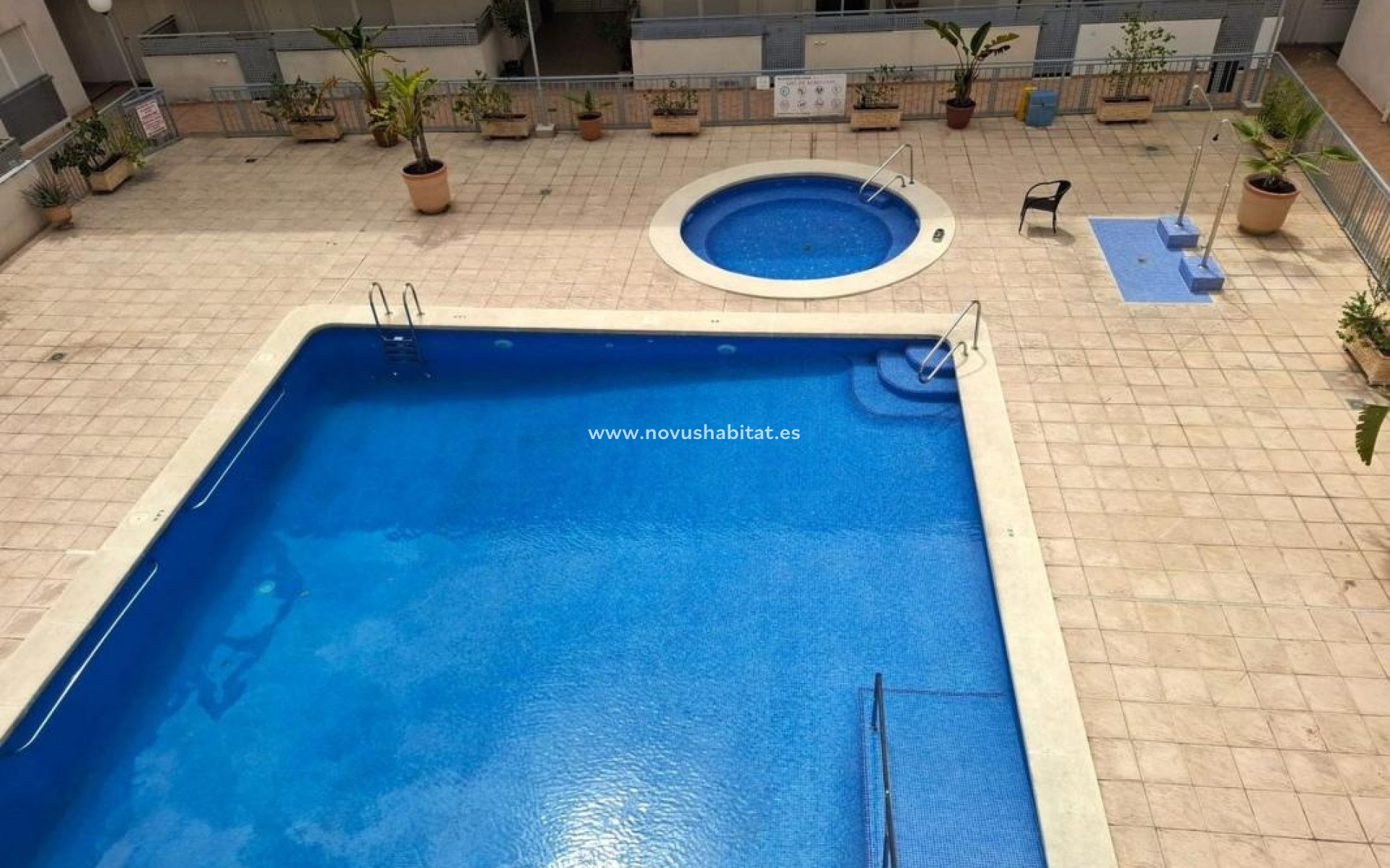 Nueva construcción  - Apartament - Almoradí