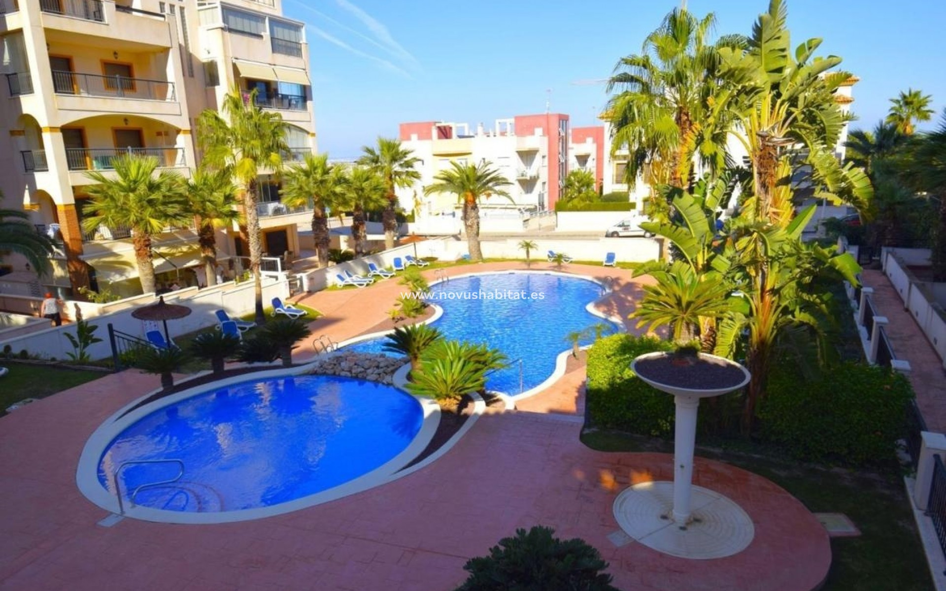 Nueva construcción  - Apartament - Guardamar del Segura