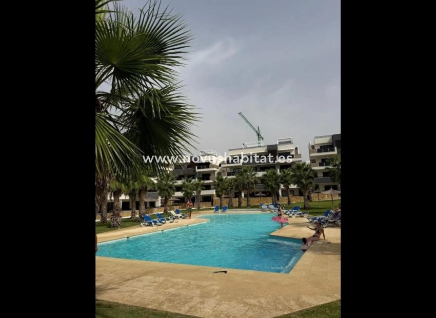 Nueva construcción  - Apartament - Orihuela