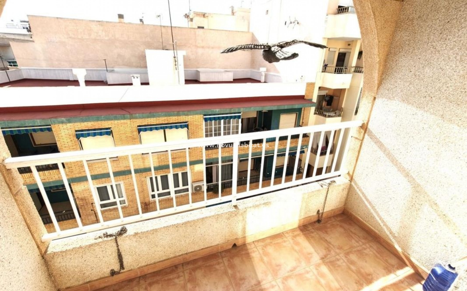Nueva construcción  - Apartament - Torrevieja