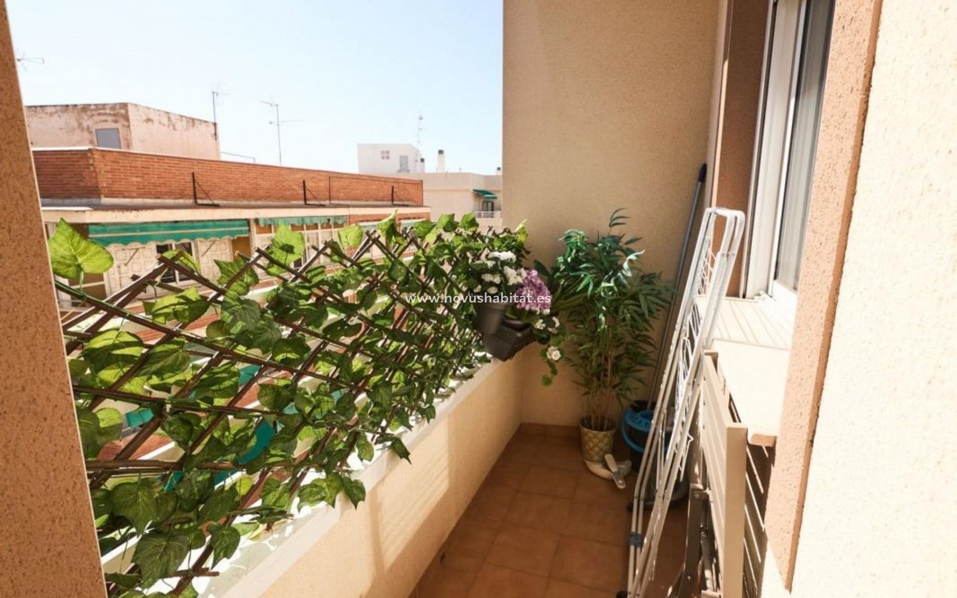 Nueva construcción  - Apartament - Torrevieja