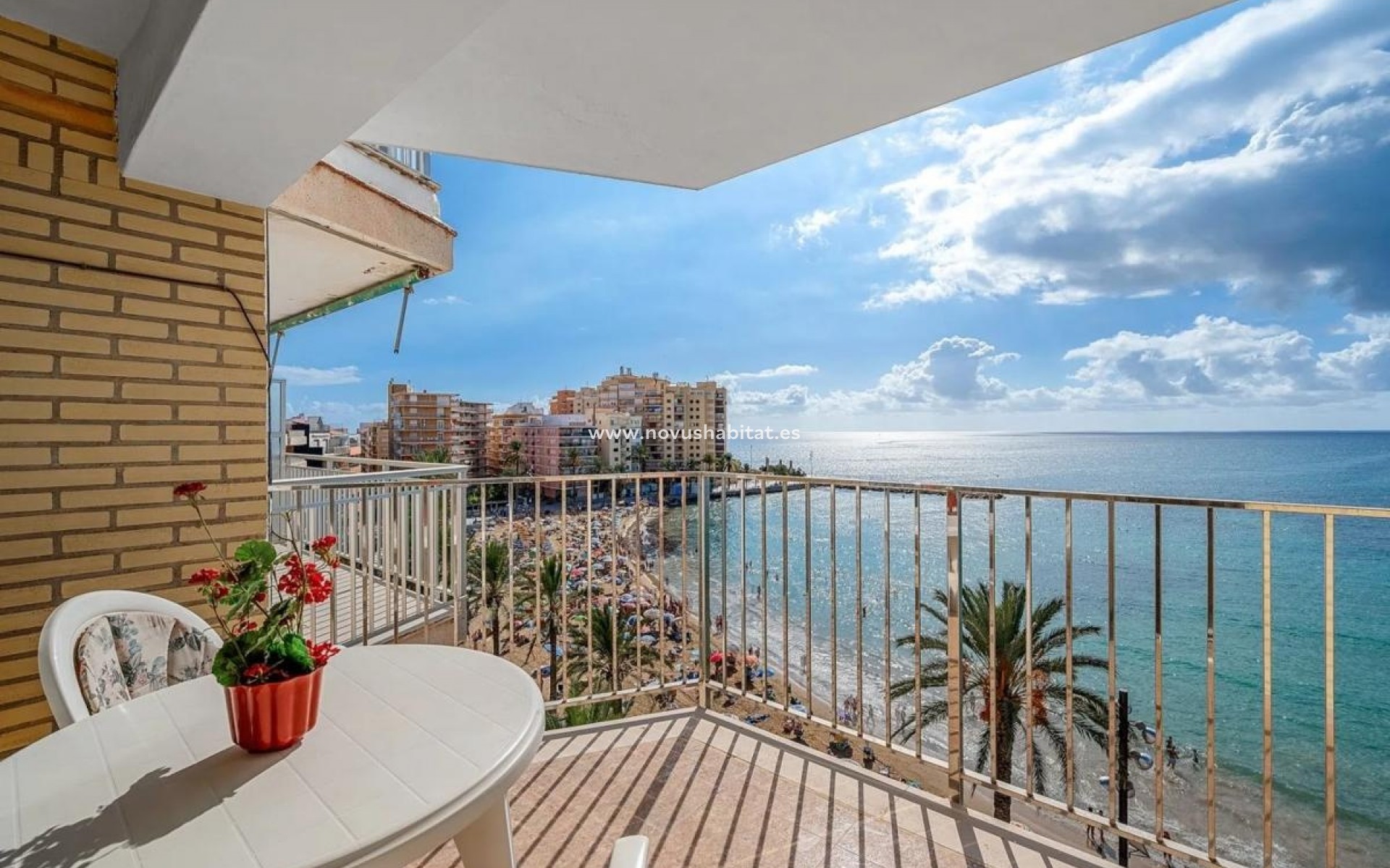 Nueva construcción  - Apartament - Torrevieja