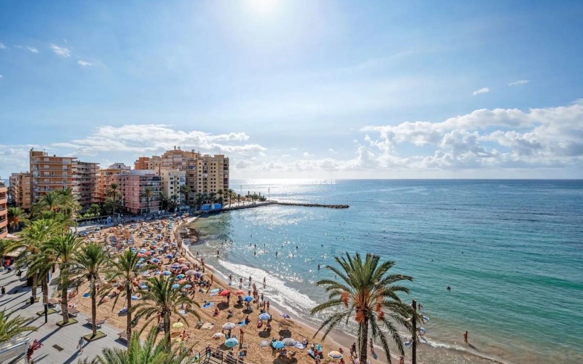 Nueva construcción  - Apartament - Torrevieja