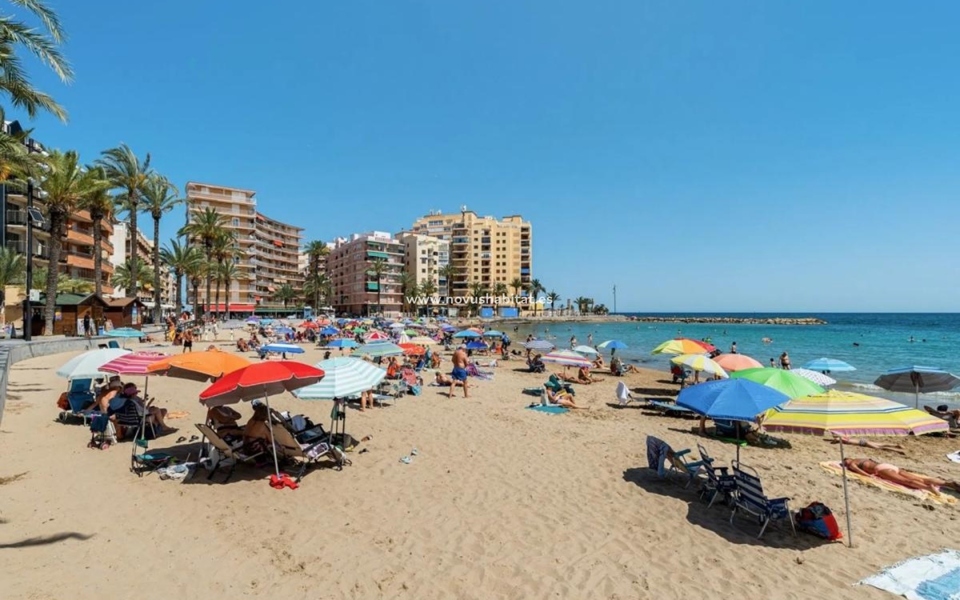 Nueva construcción  - Apartament - Torrevieja