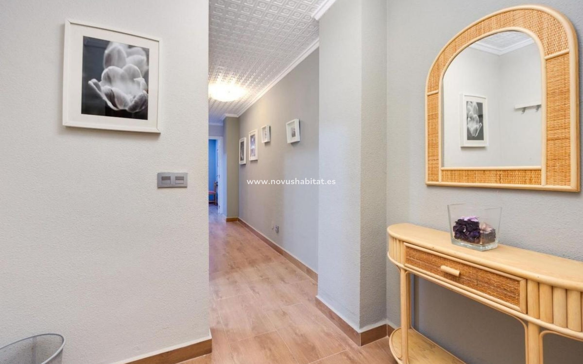 Nueva construcción  - Apartament - Torrevieja