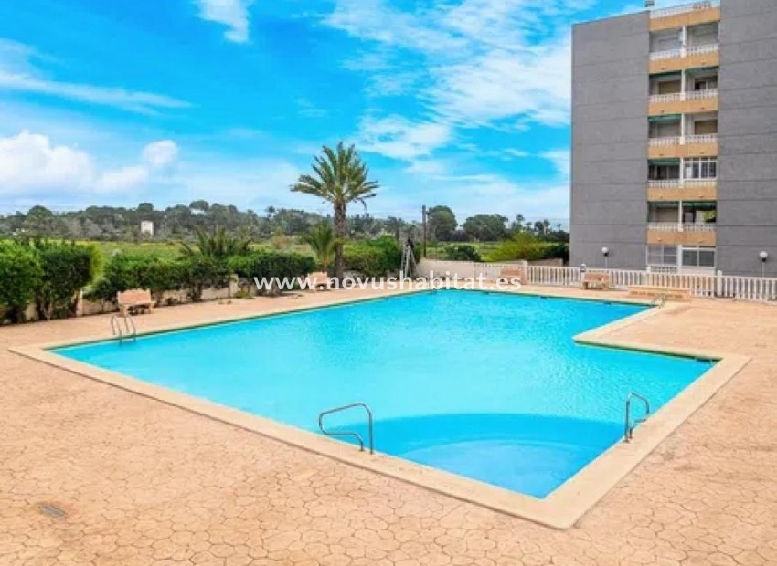 Nueva construcción  - Apartament - Torrevieja