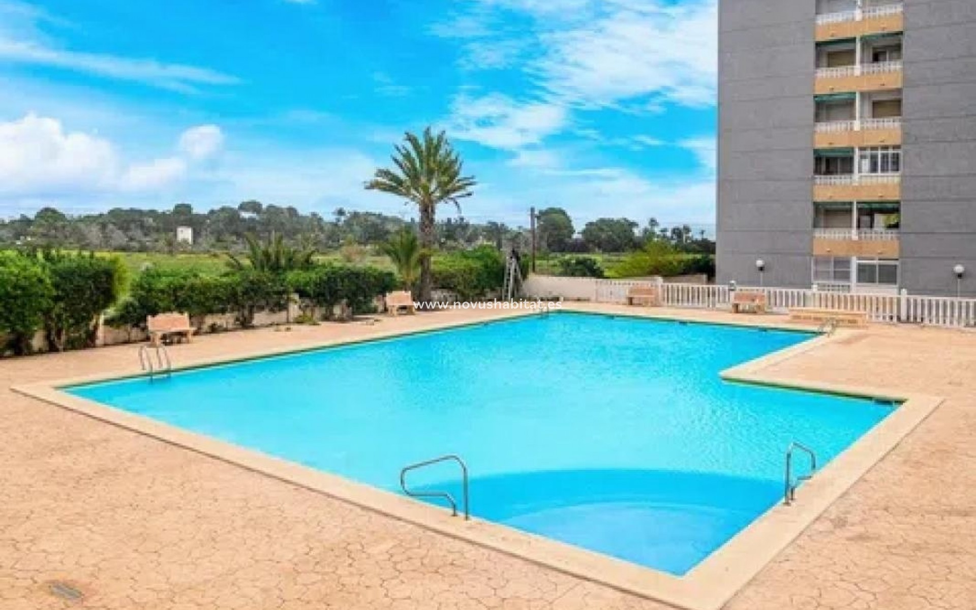 Nueva construcción  - Apartament - Torrevieja