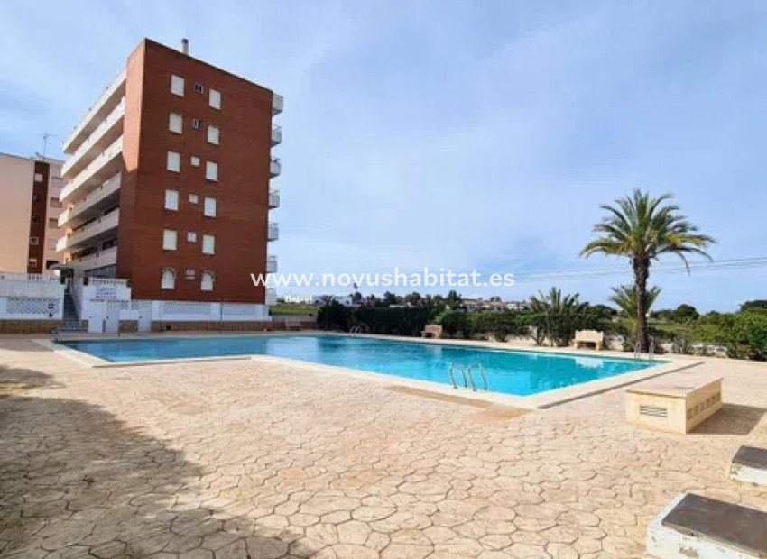 Nueva construcción  - Apartament - Torrevieja