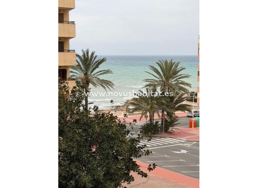 Nueva construcción  - Apartament - Torrevieja