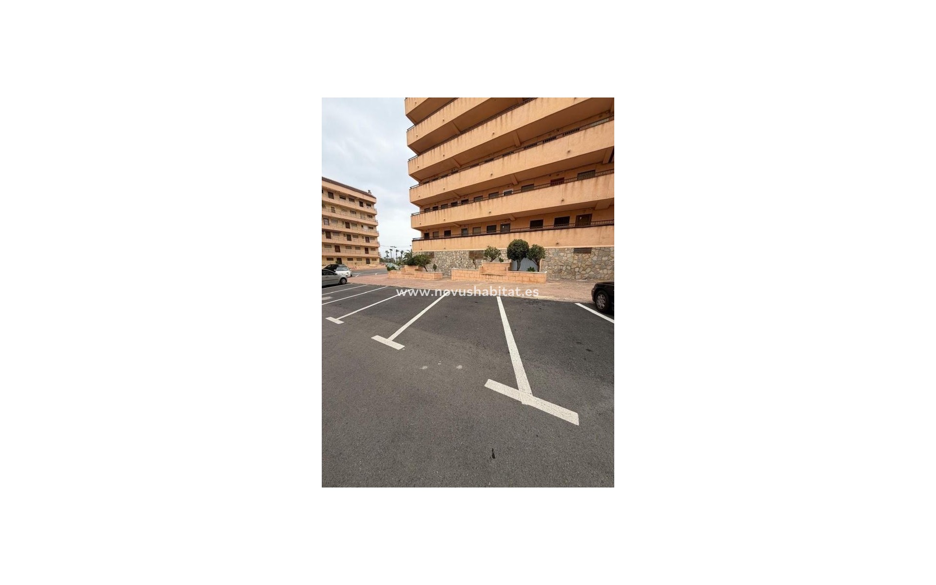 Nueva construcción  - Apartament - Torrevieja