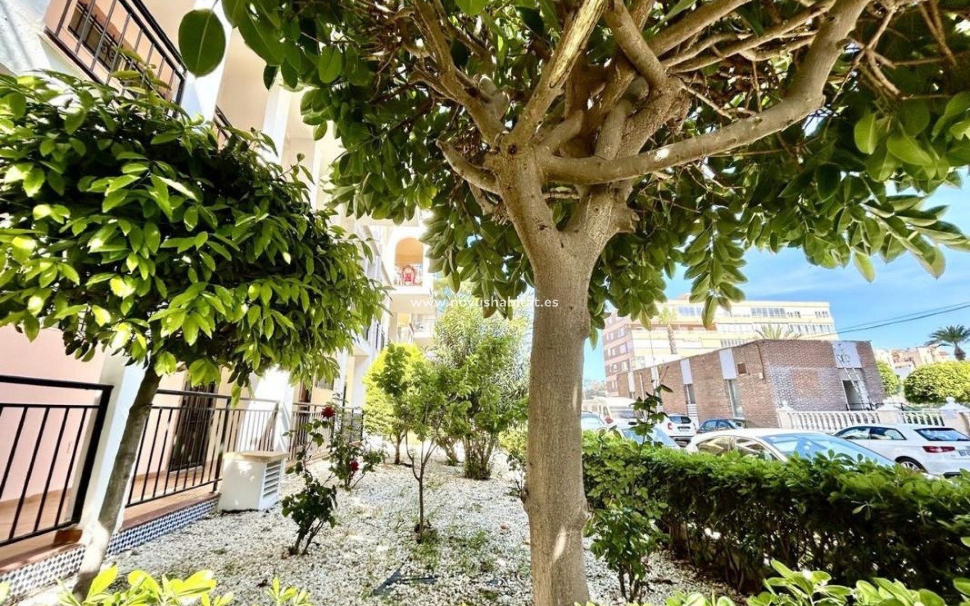 Nueva construcción  - Apartament - Torrevieja