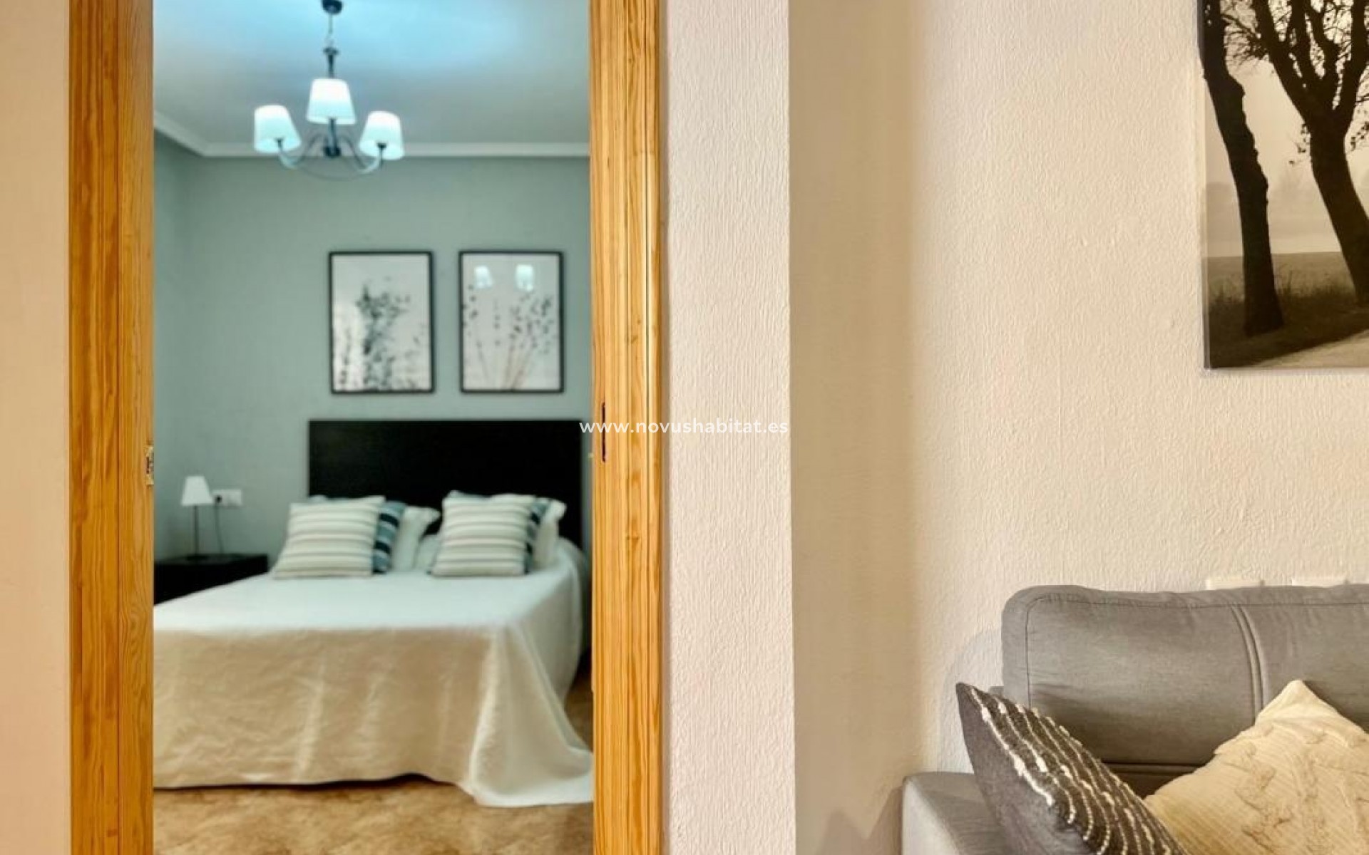 Nueva construcción  - Apartament - Torrevieja