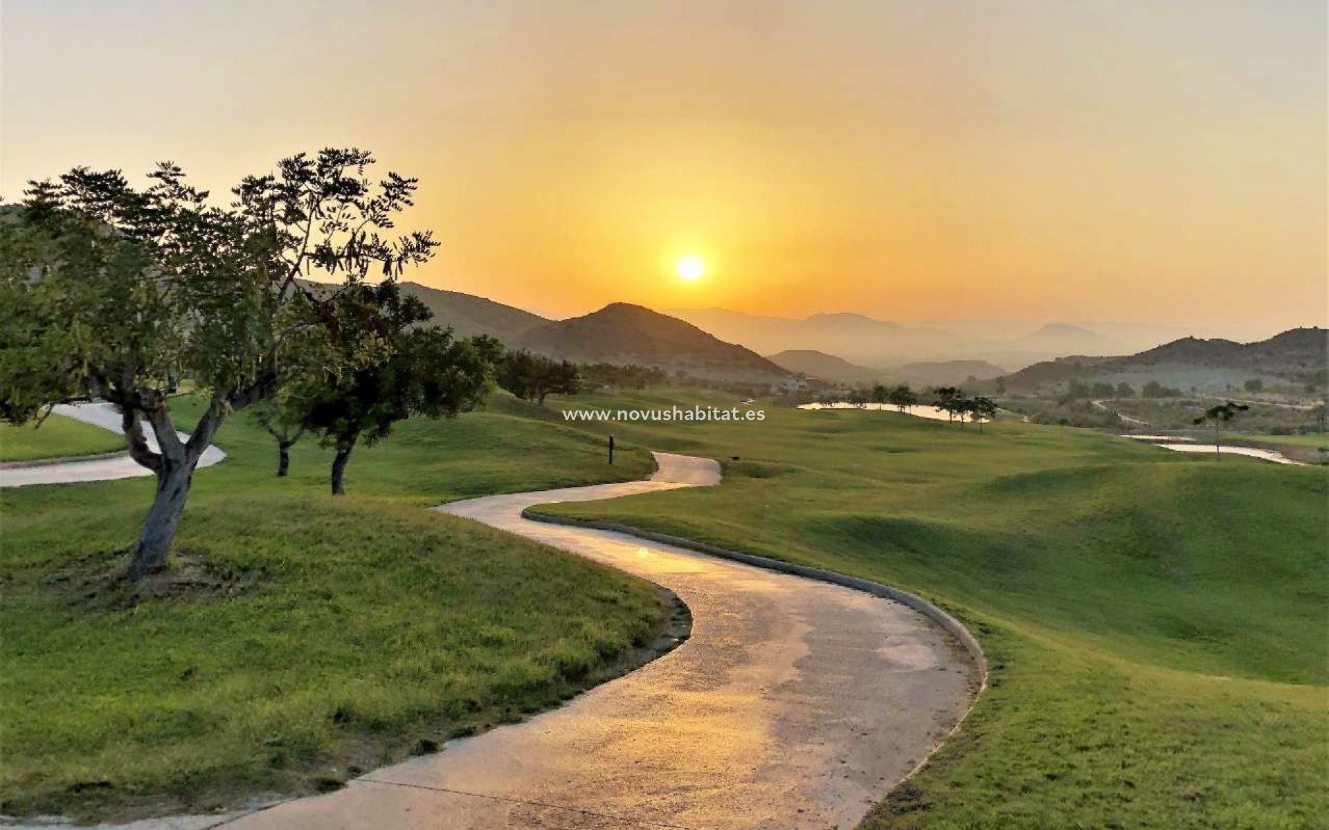 Nueva construcción  - Apartamento - Monforte del Cid - Font del Llop