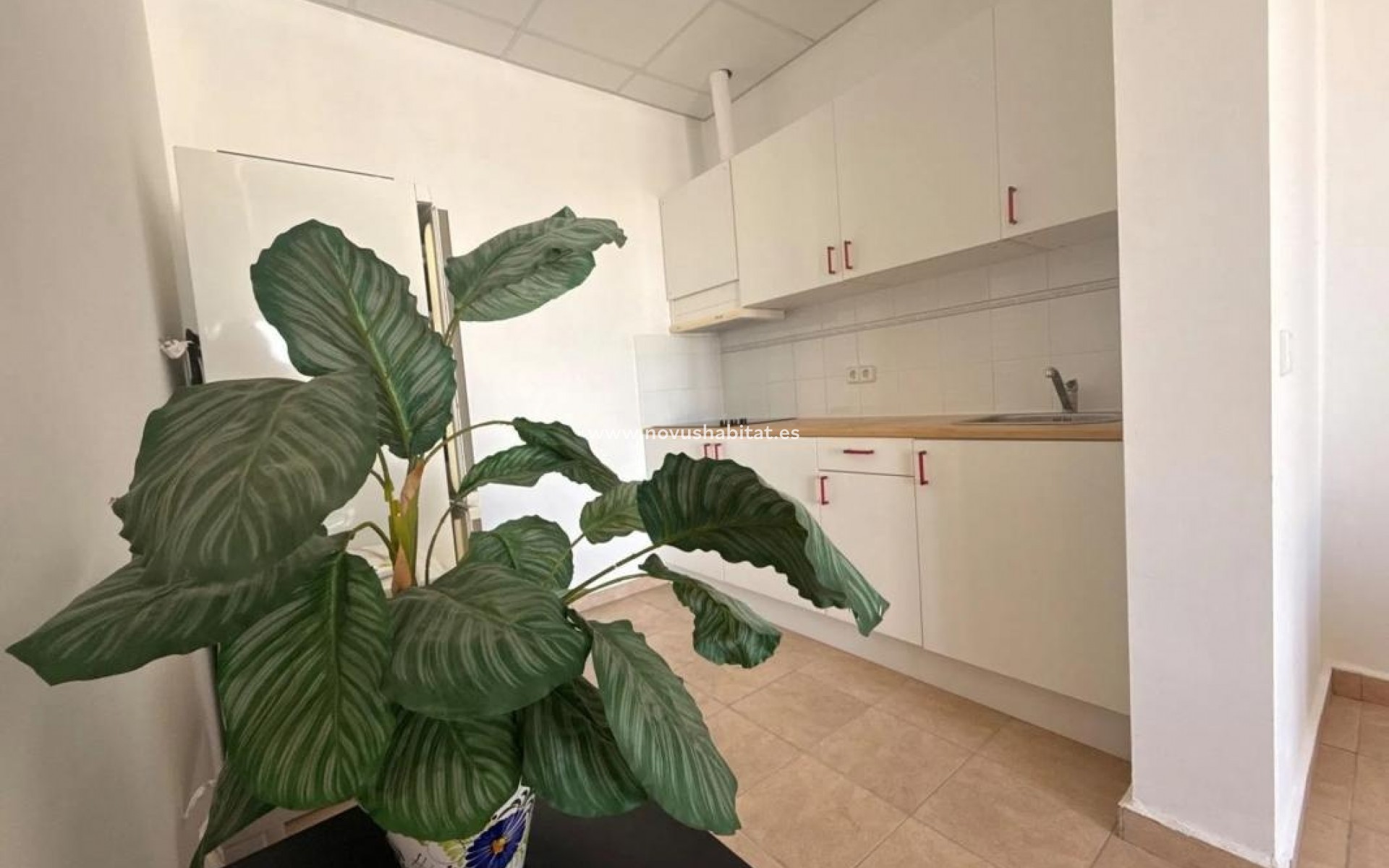 Nueva construcción  - Detached chalet - Calpe
