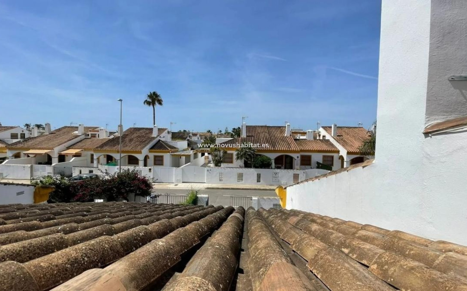 Nueva construcción  - Detached chalet - Pilar de la Horadada