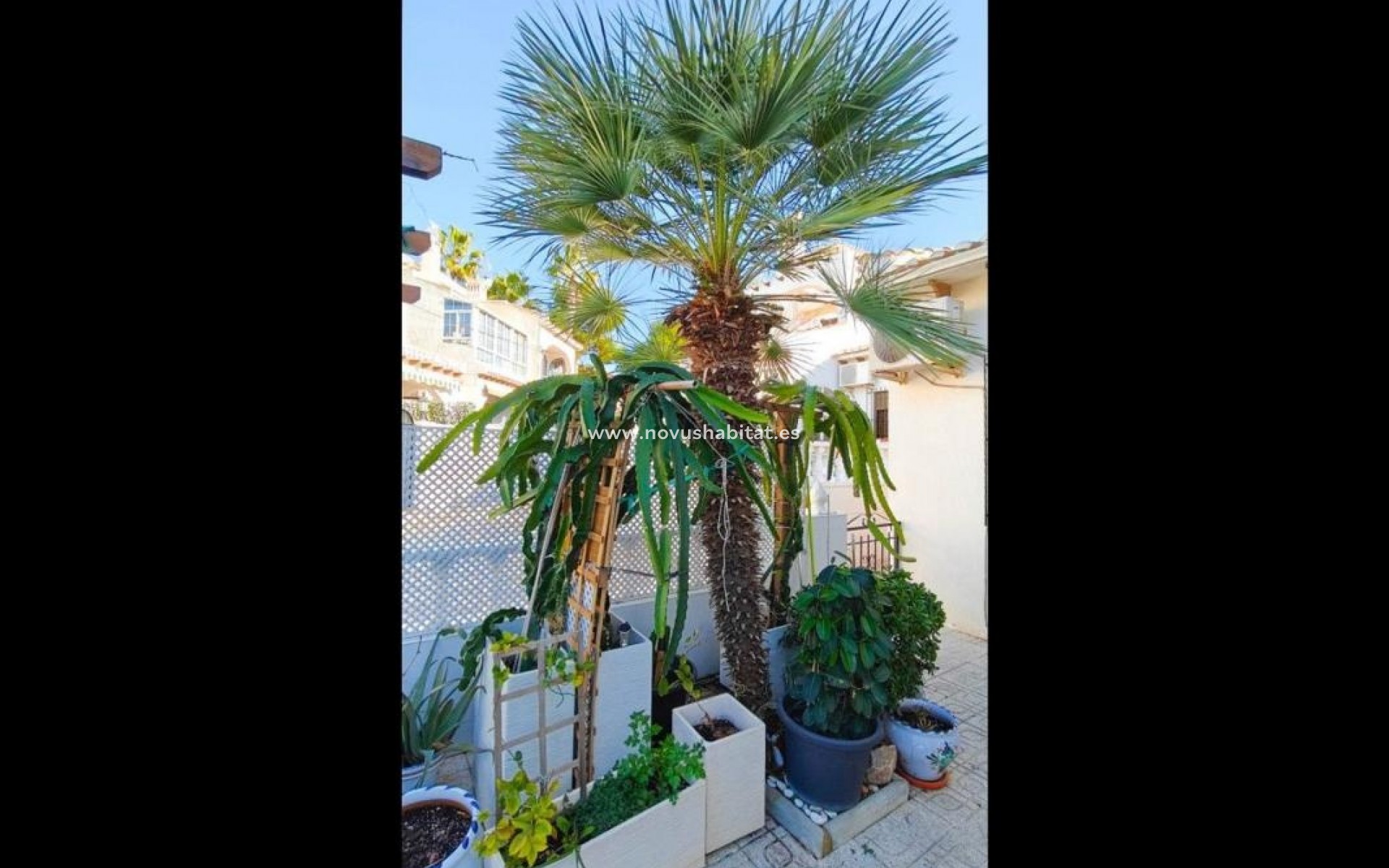 Nueva construcción  - Detached chalet - Torrevieja
