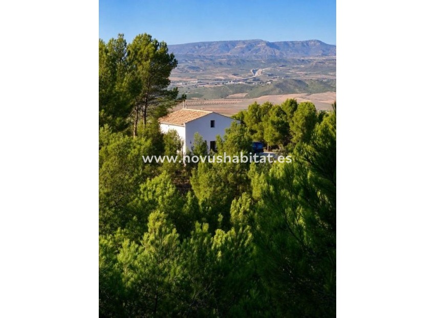 Nueva construcción  - Detached chalet - Villena