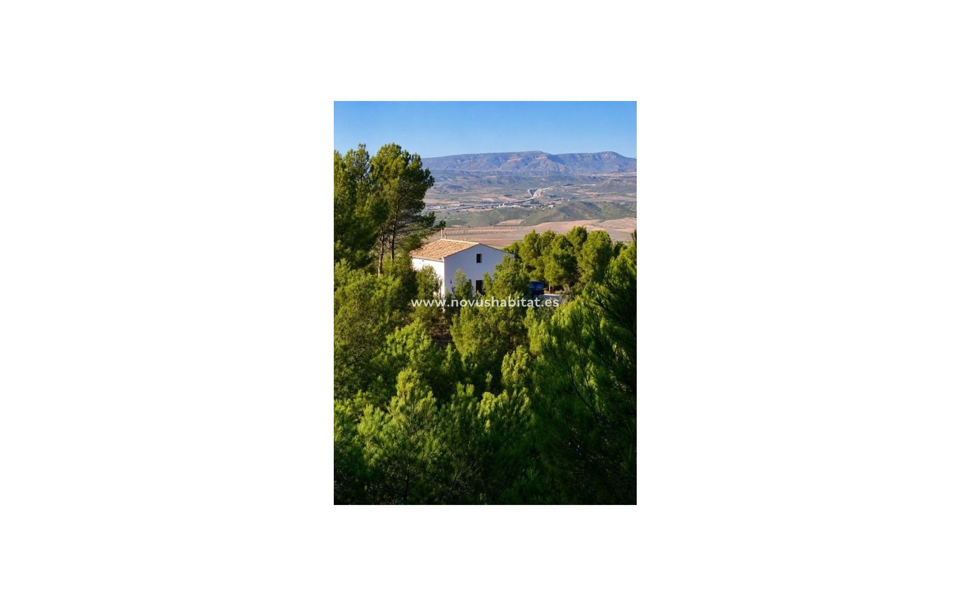 Nueva construcción  - Detached chalet - Villena