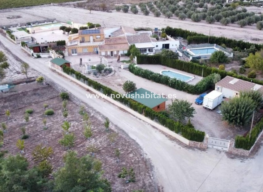 Nueva construcción  - Detached chalet - Villena