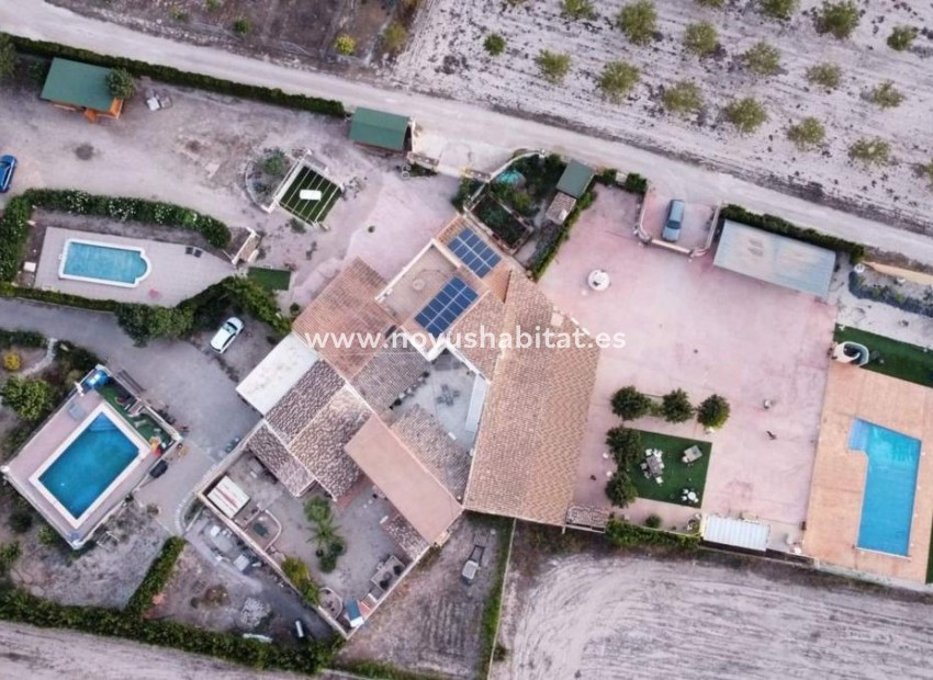 Nueva construcción  - Detached chalet - Villena