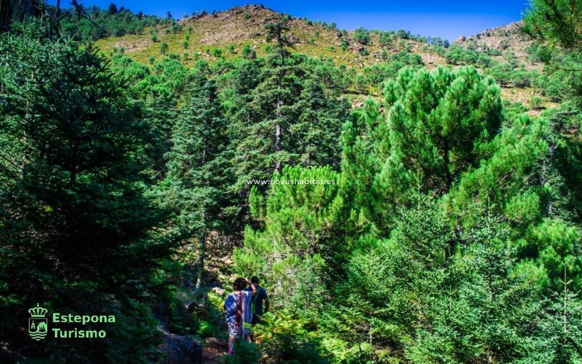 Nueva construcción  - Ground floor apartment - Estepona