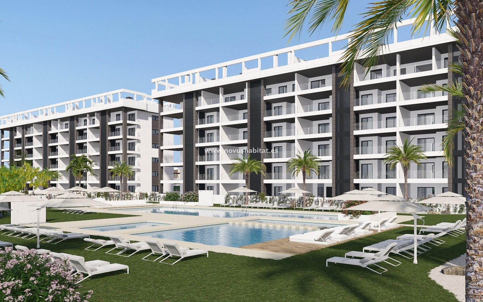 Nueva construcción  - Ground floor apartment - Torrevieja