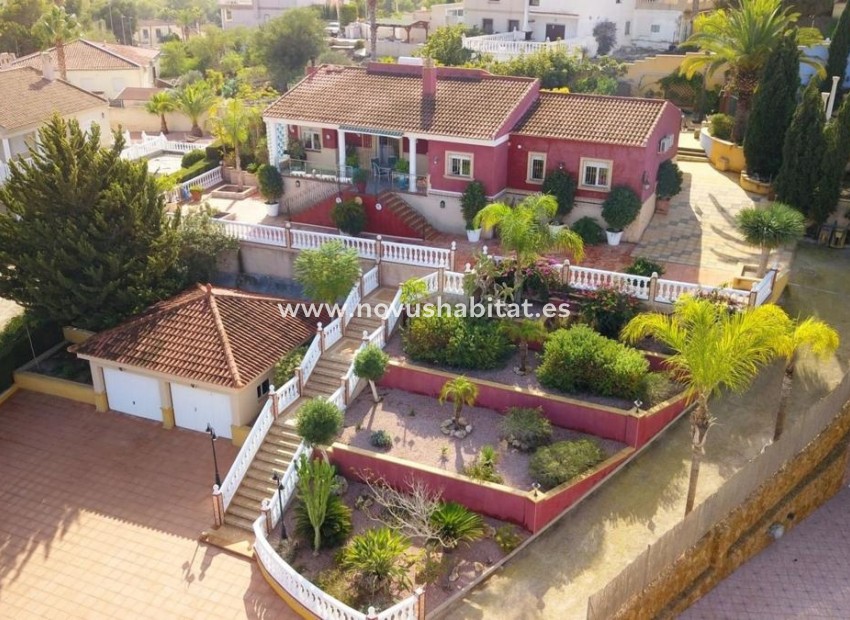Nueva construcción  - Houses - Algorfa