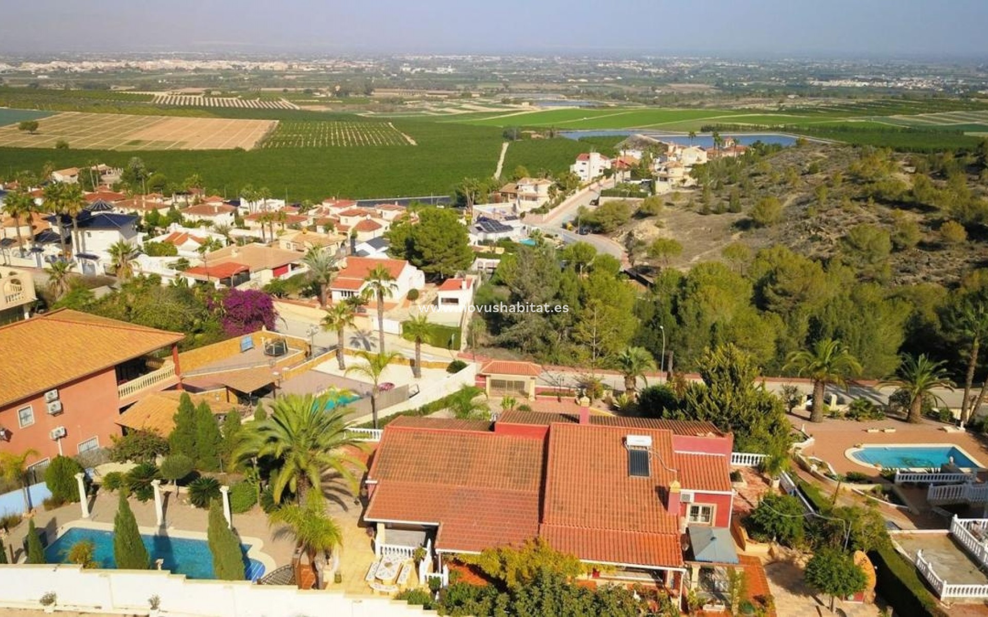 Nueva construcción  - Houses - Algorfa