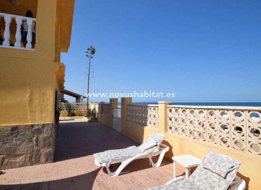 Nueva construcción  - Houses - Guardamar del Segura