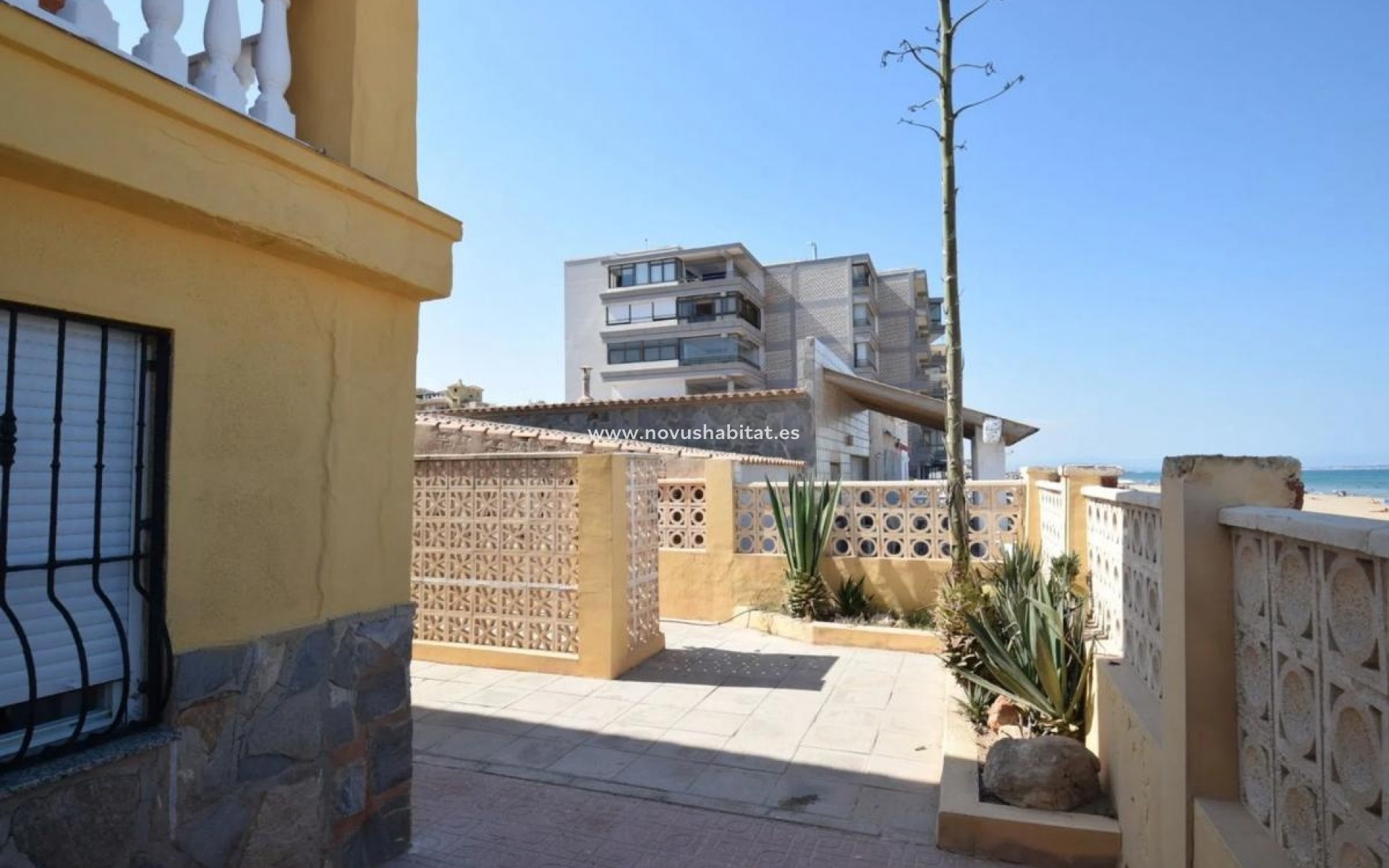Nueva construcción  - Houses - Guardamar del Segura