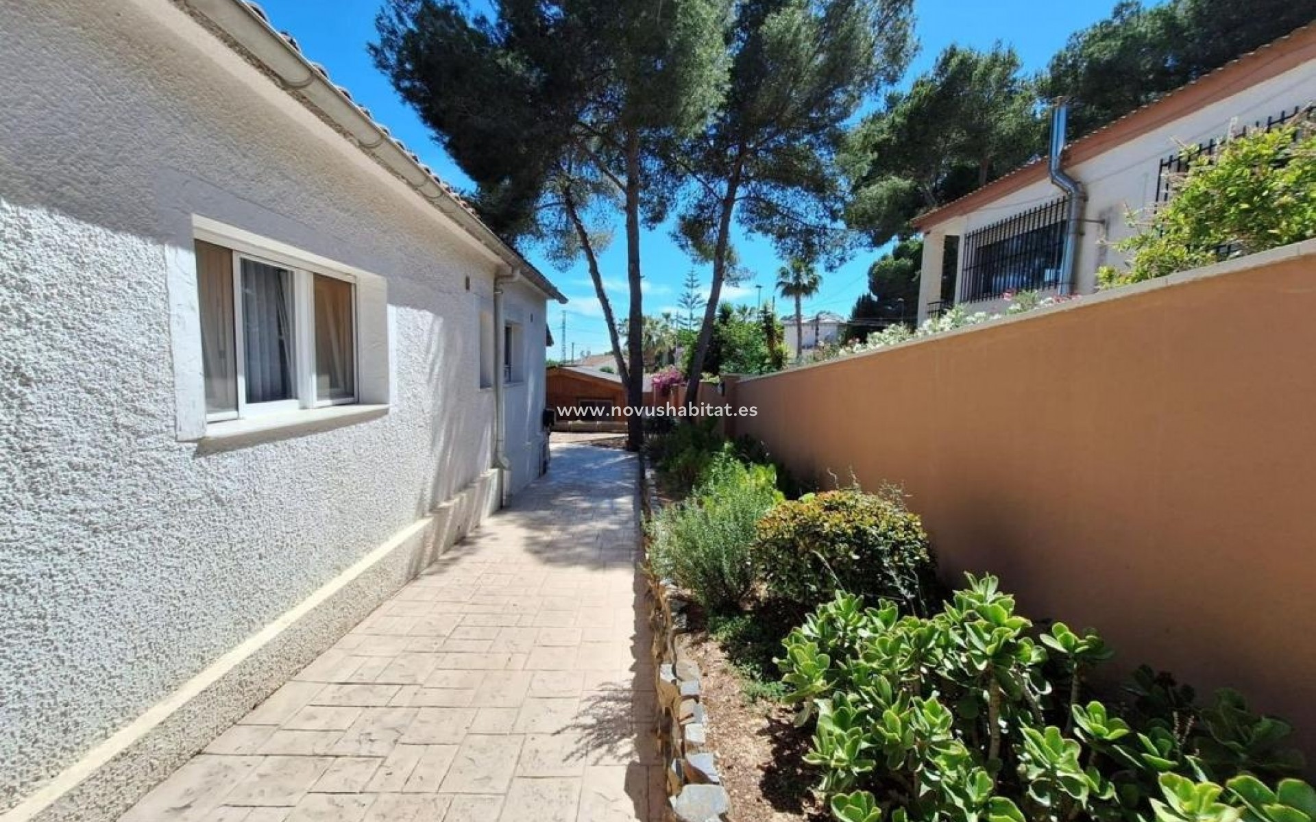 Nueva construcción  - Houses - Pilar de la Horadada