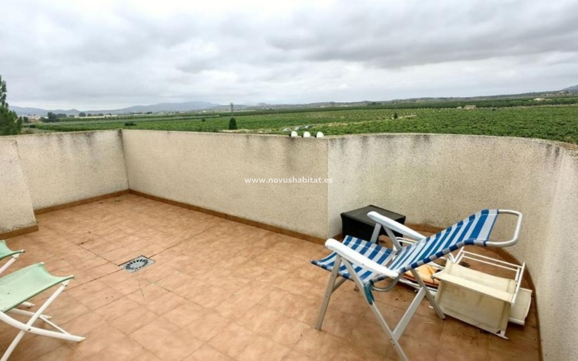 Nueva construcción  - Houses - Pinoso