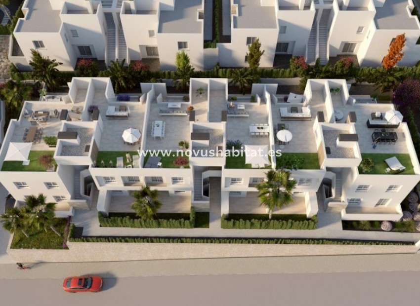 Nueva construcción  - Penthouses - Algorfa